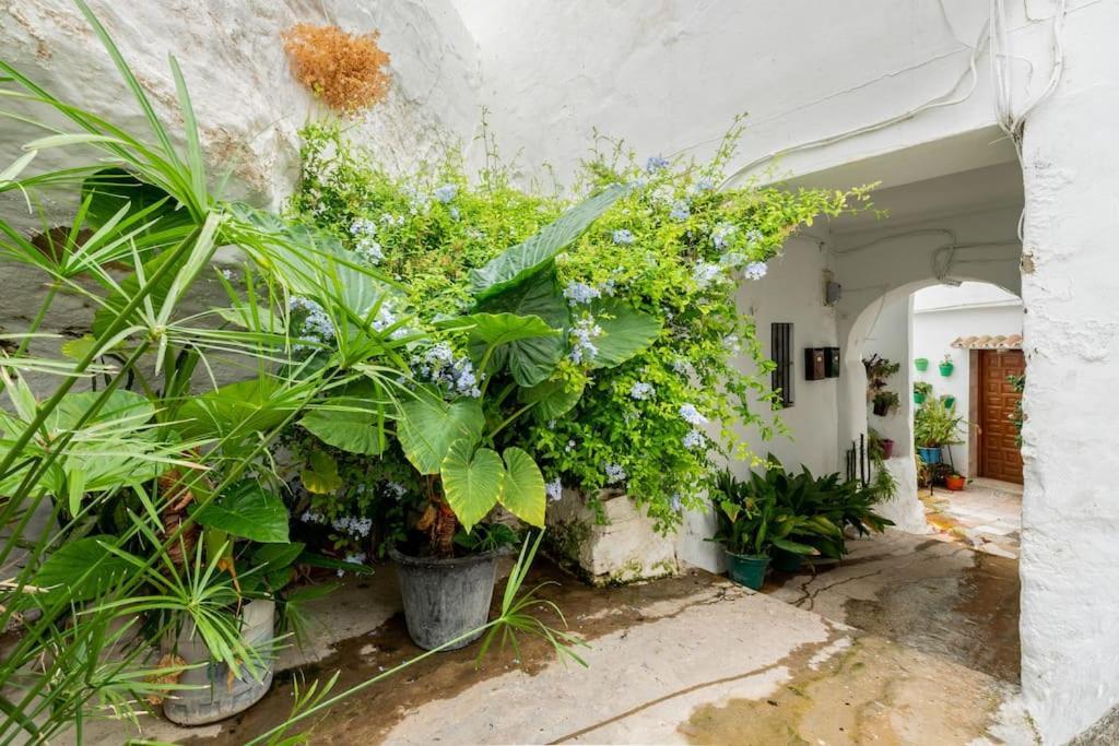 Preciosa Casa Independiente Con Increibles Vistas Вехер де ла Фронтера Екстериор снимка